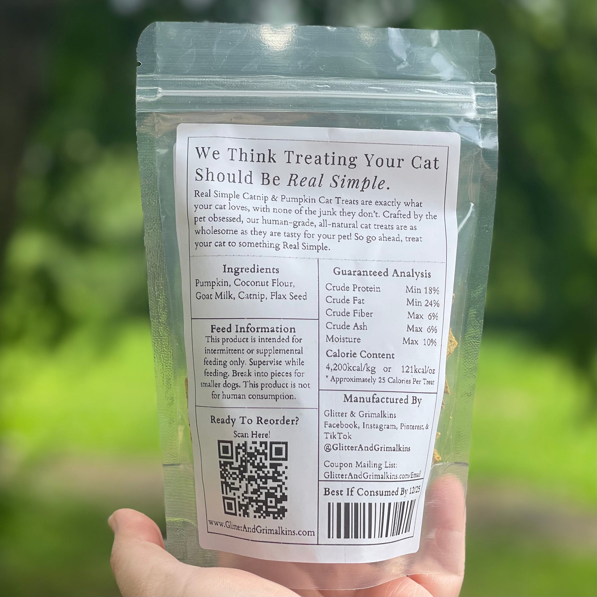 Catnip & Pumpkin Cat Treats