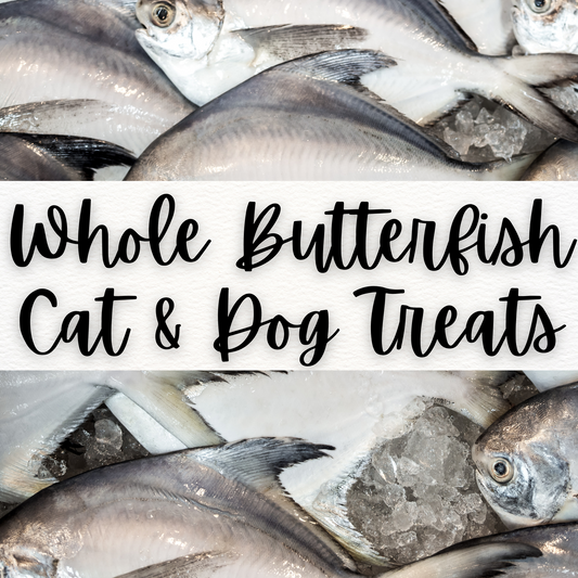 Whole Butterfish Cat Treats