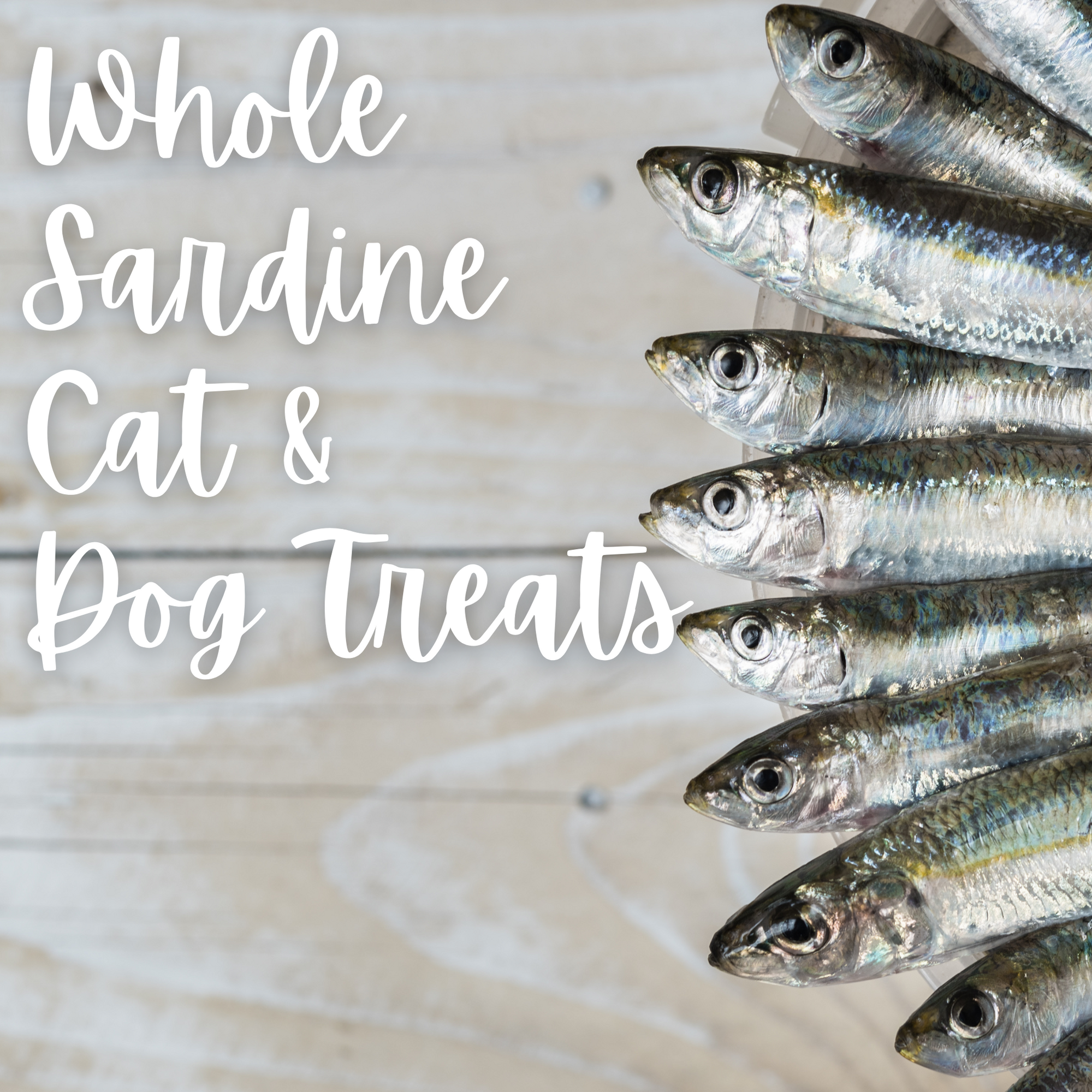 Whole Sardine Cat Treats