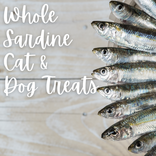 Whole Sardine Cat Treats