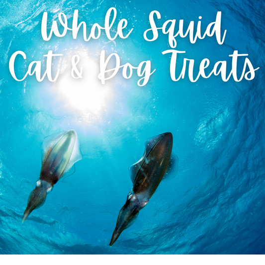 Whole Squid Cat Treats