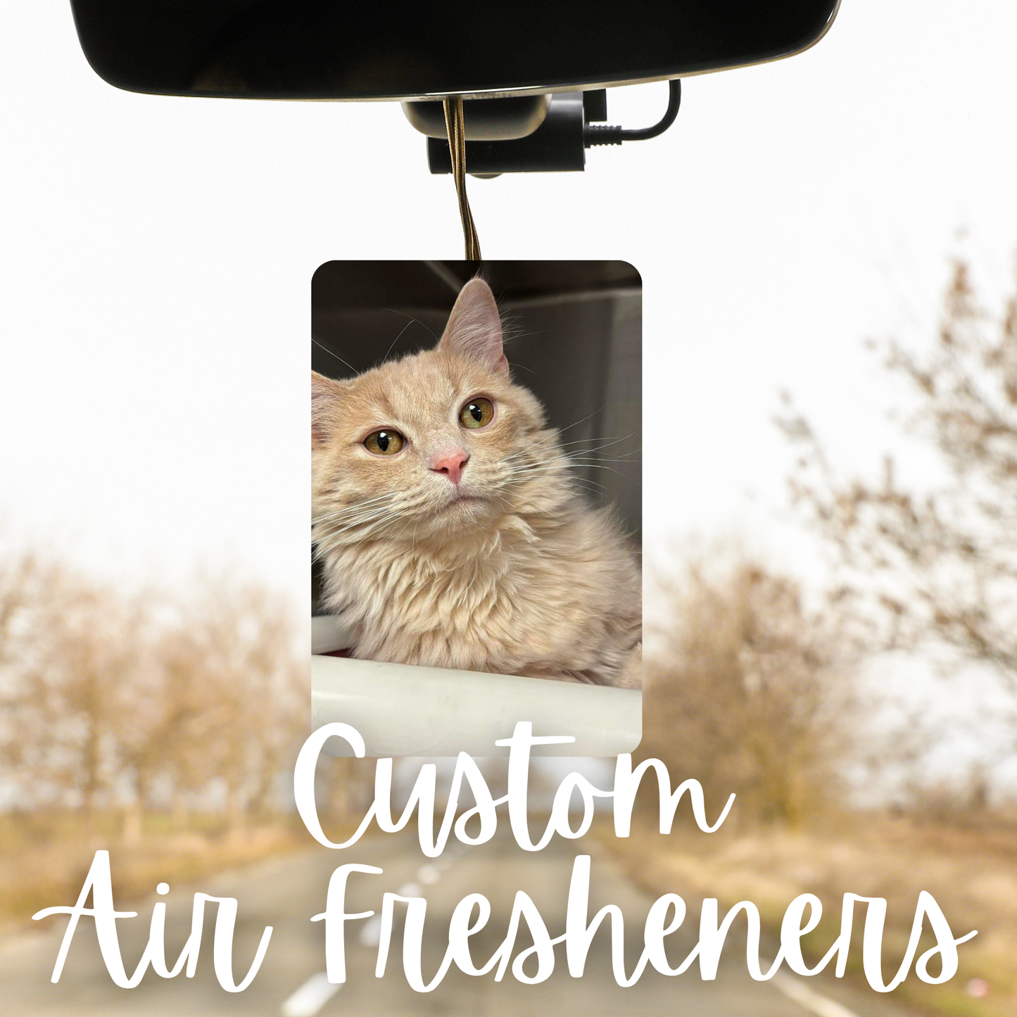 Custom Pet Air Fresheners