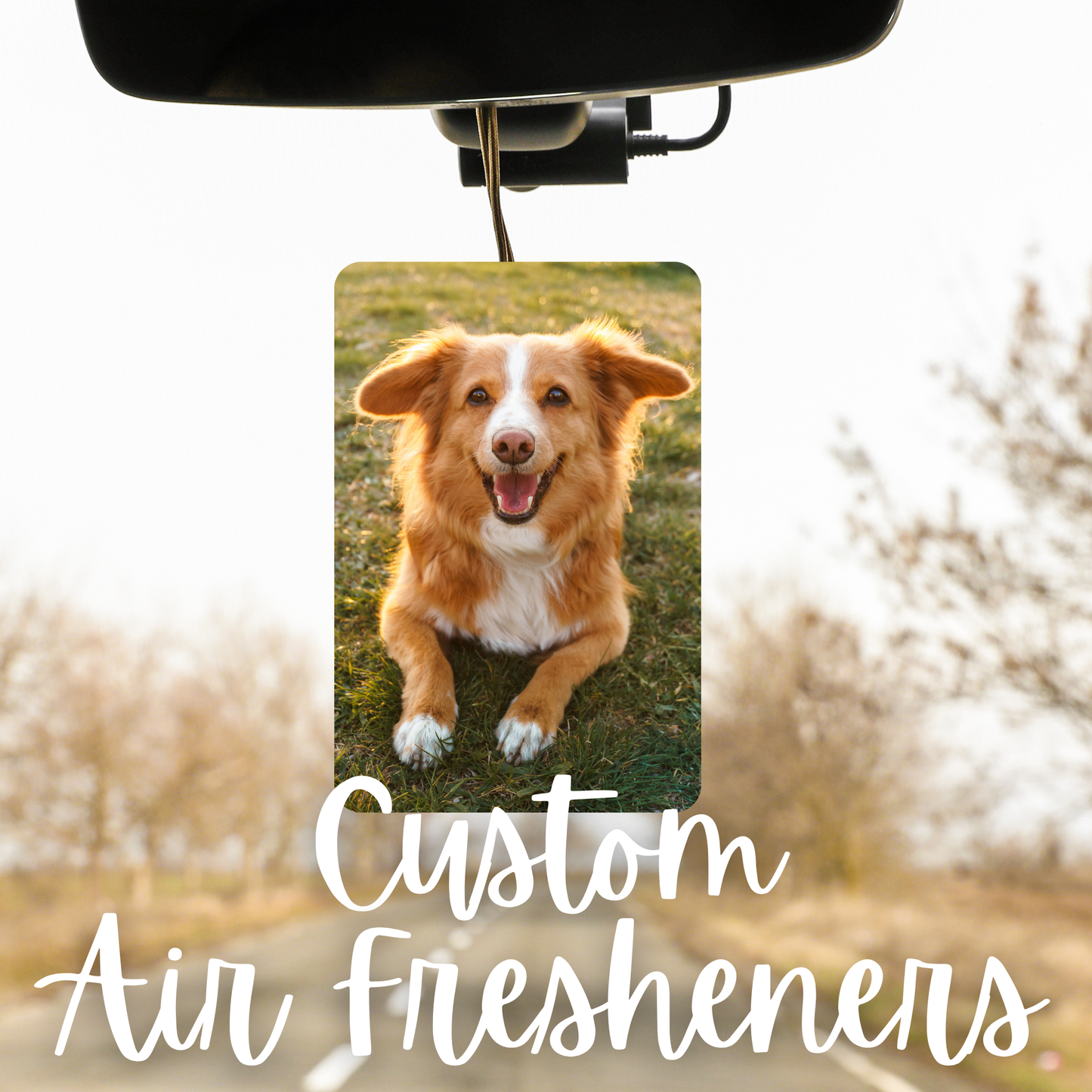 Custom Pet Air Fresheners