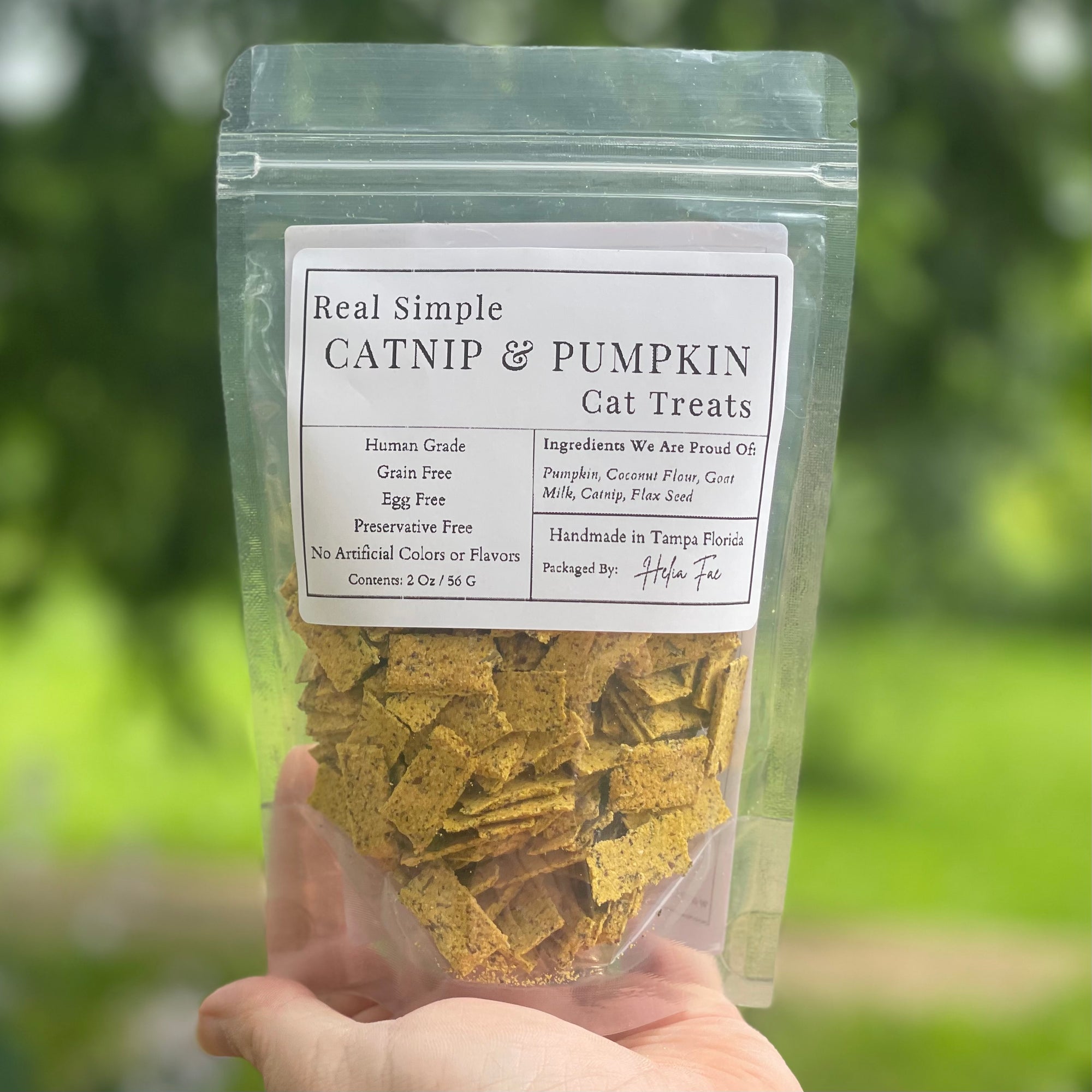 Catnip & Pumpkin Cat Treats
