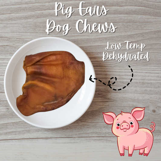 Pig Ear Dog Chews