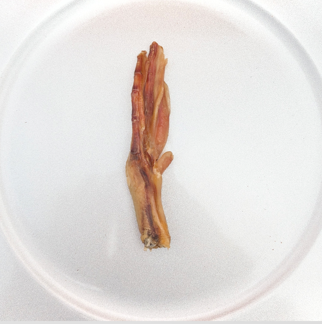 Duck Feet Dog Chews